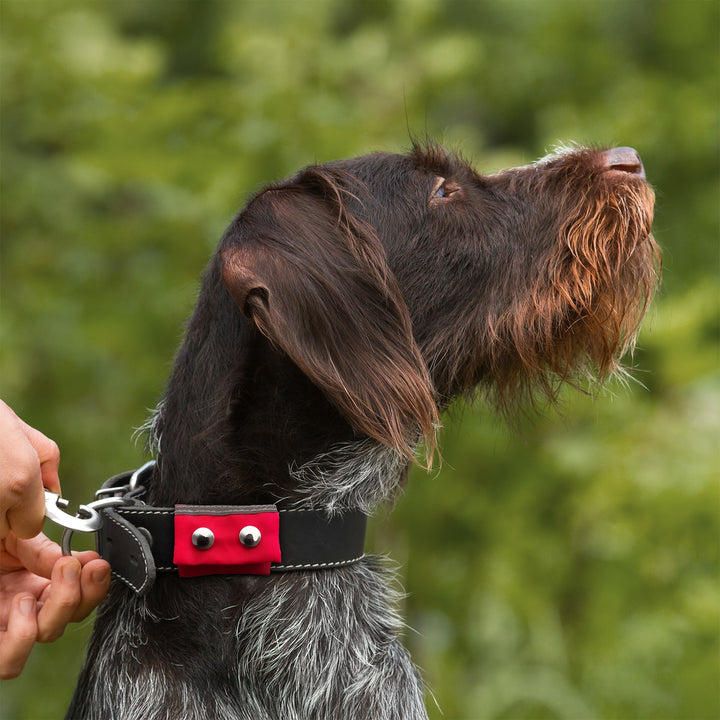 Halsbandtasche für Hundeausweis